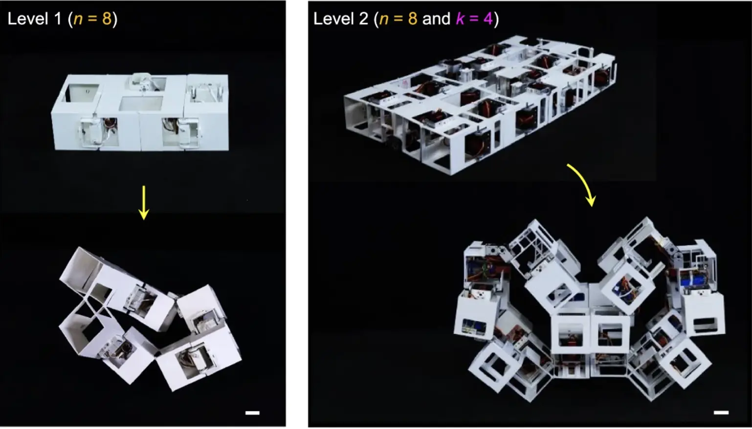 NC State Üniversitesi, Origami’den İlham Alan Şekil Değiştiren Robot Geliştirdi