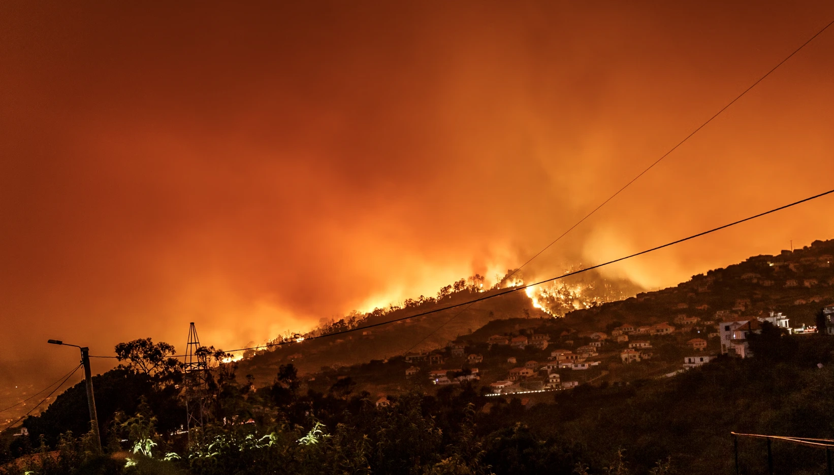 Google, FireSat’ı Başlatıyor: Yeni Bir AI Aracı Vahşi Yangın Tespiti İçin