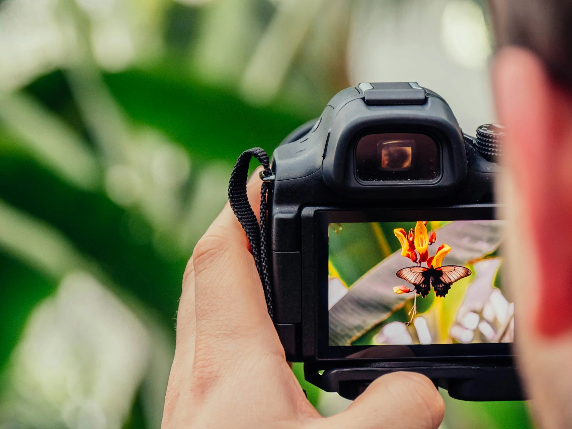 Getty Images, Rakibi Shutterstock ile Birleşerek 3,7 Milyar Dolarlık Bir Şirket Oluşturacak